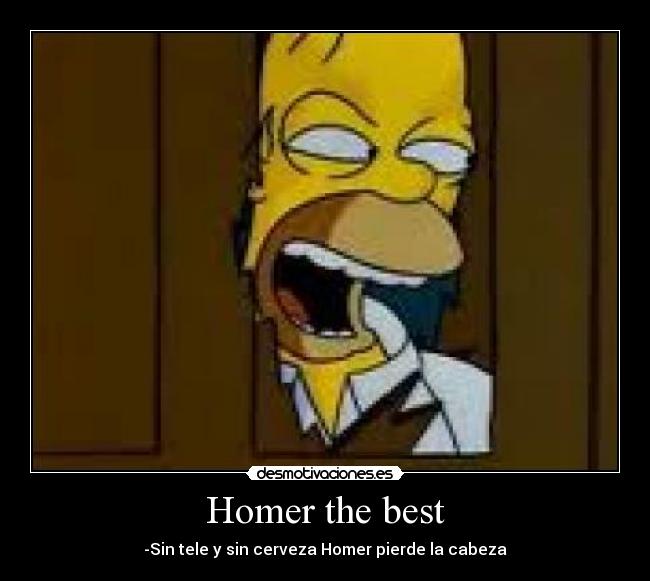 Homer the best -