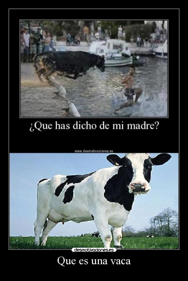 Que es una vaca - 