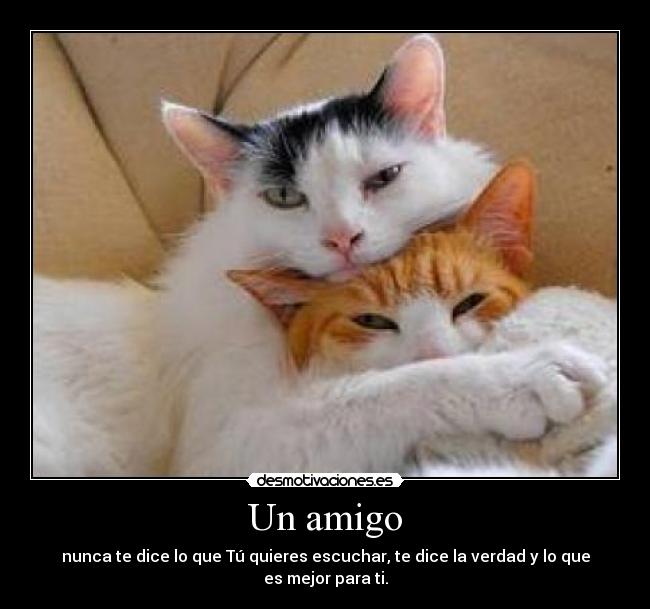 Un amigo - nunca te dice lo que Tú quieres escuchar, te dice la verdad y lo que es mejor para ti.