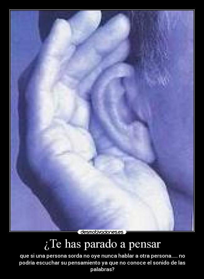 ¿Te has parado a pensar - 