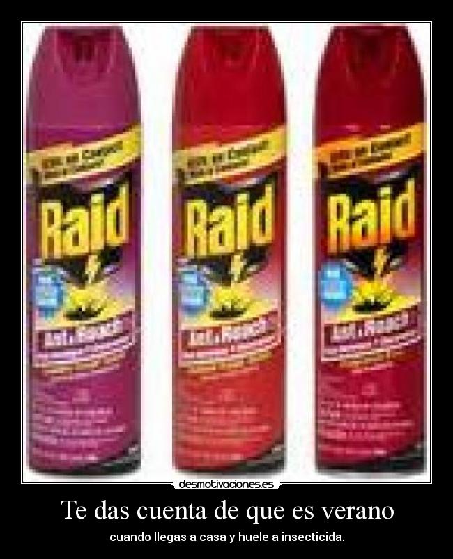 Te das cuenta de que es verano -