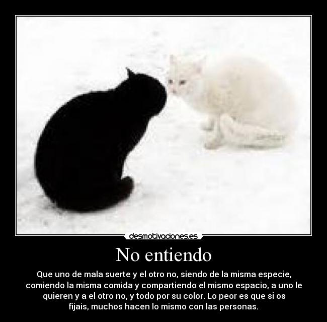 No entiendo - Que uno de mala suerte y el otro no, siendo de la misma especie,
comiendo la misma comida y compartiendo el mismo espacio, a uno le
quieren y a el otro no, y todo por su color. Lo peor es que si os
fijais, muchos hacen lo mismo con las personas.