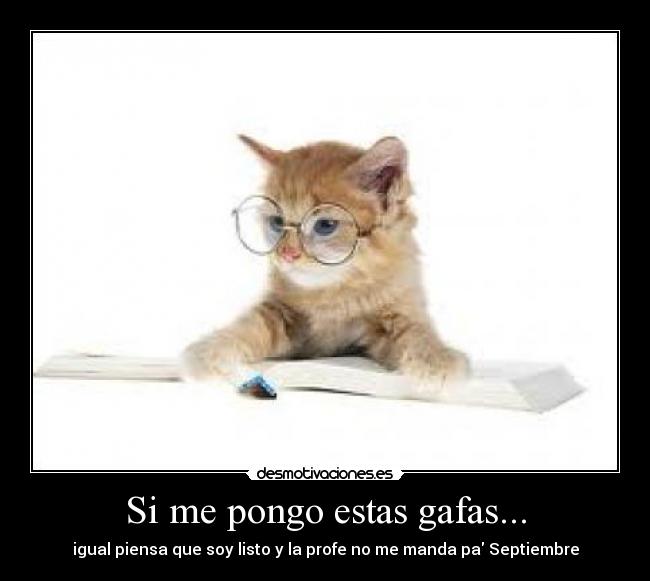 Si me pongo estas gafas... - igual piensa que soy listo y la profe no me manda pa Septiembre