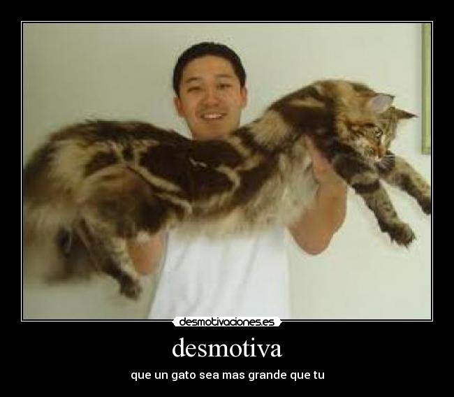 desmotiva - que un gato sea mas grande que tu