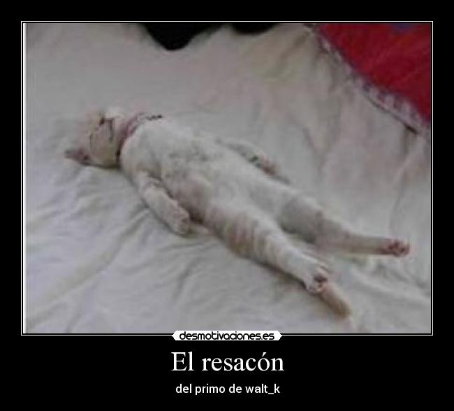 El resacón - del primo de walt_k
