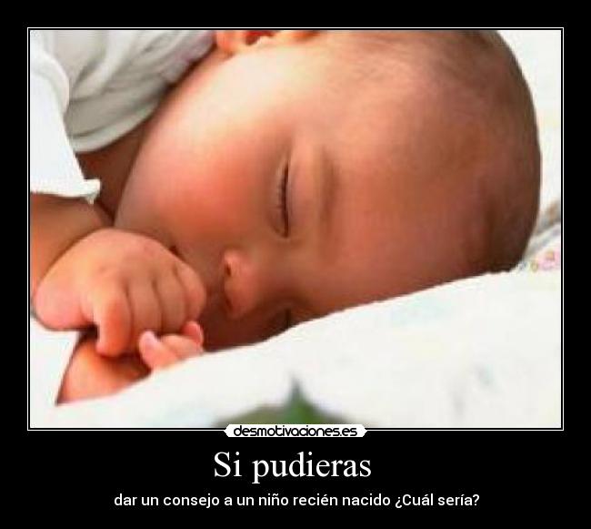 carteles bebes desmotivaciones