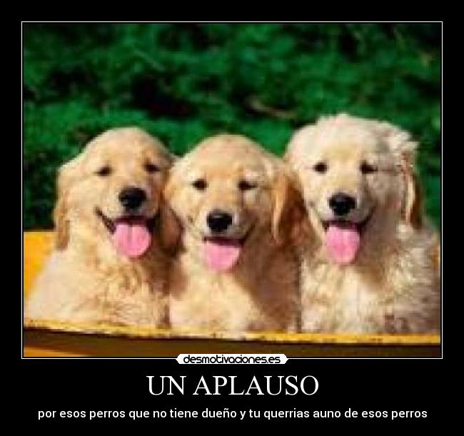 carteles ola desmotivaciones