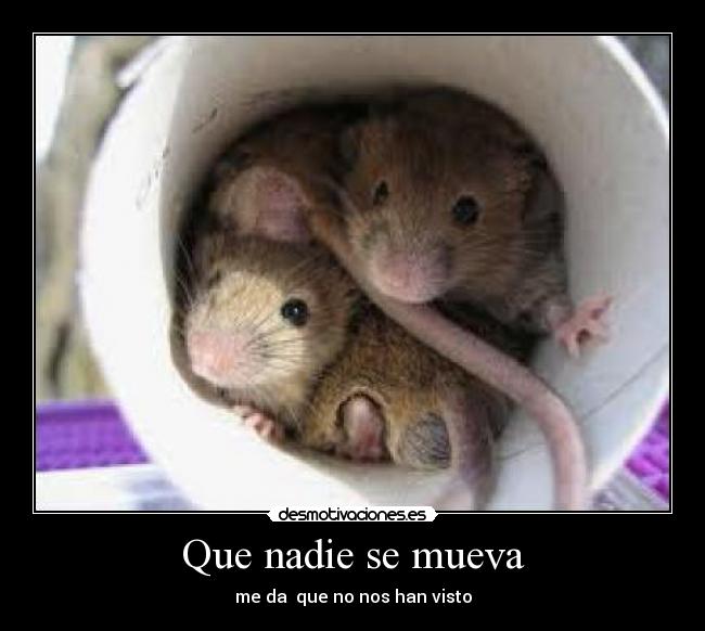Que nadie se mueva -