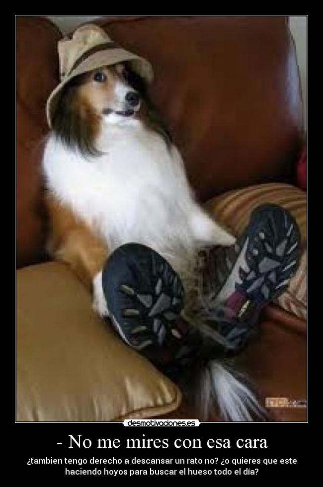 - No me mires con esa cara -
