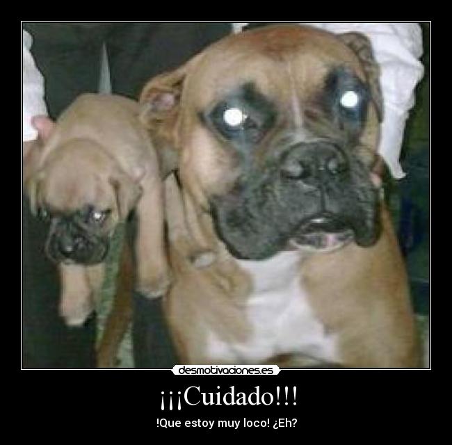 ¡¡¡Cuidado!!! - 