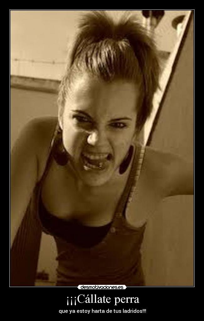 ¡¡¡Cállate perra - 