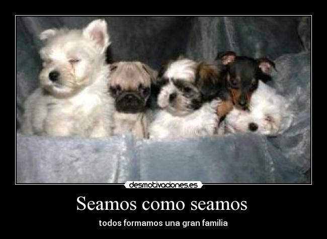Seamos como seamos - todos formamos una gran familia