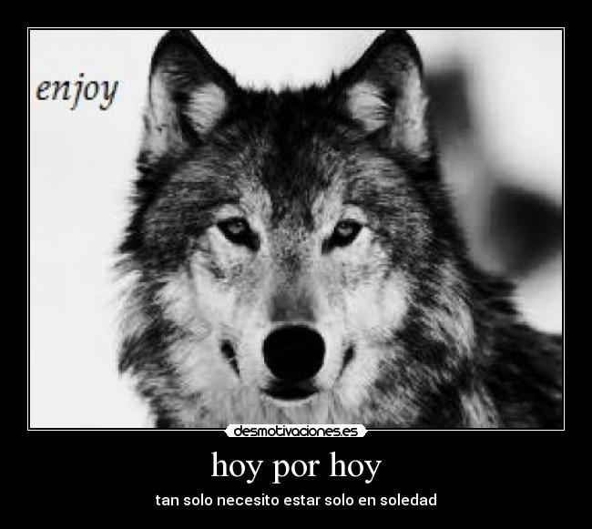 hoy por hoy - tan solo necesito estar solo en soledad