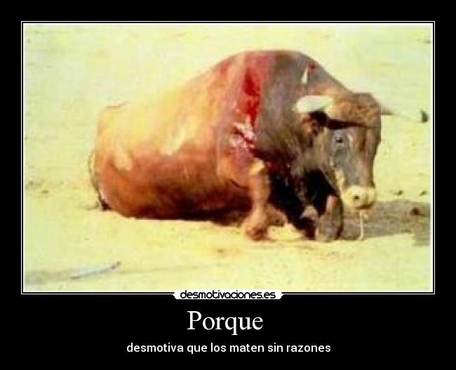 Porque -
