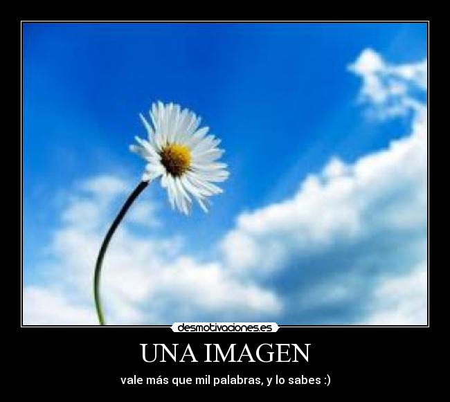 UNA IMAGEN - vale más que mil palabras, y lo sabes :)