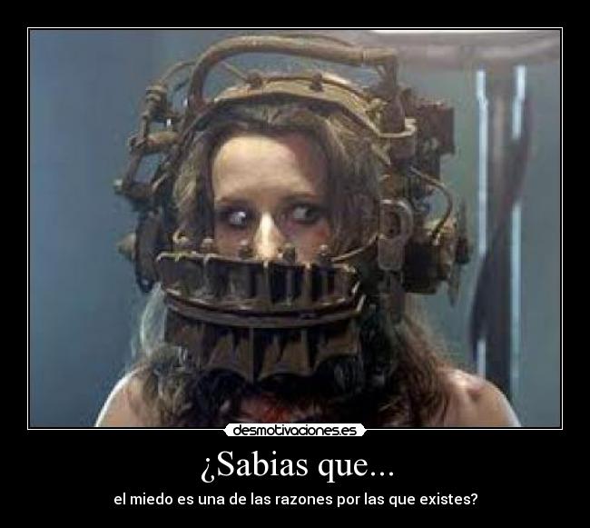 ¿Sabias que... - 