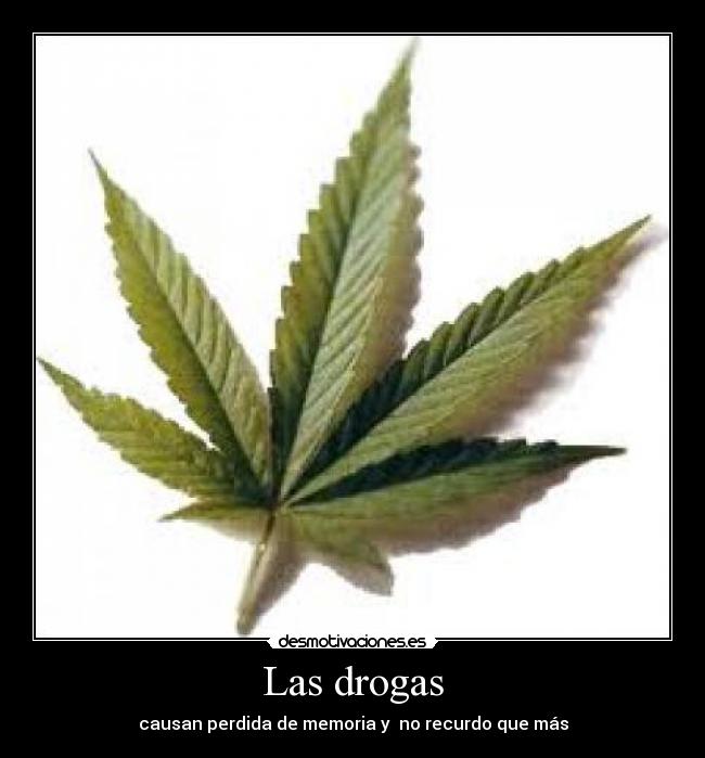 carteles drogas desmotivaciones