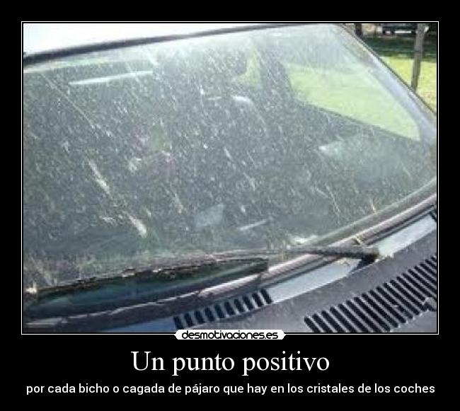 carteles bichos coches cagadas desmotivaciones