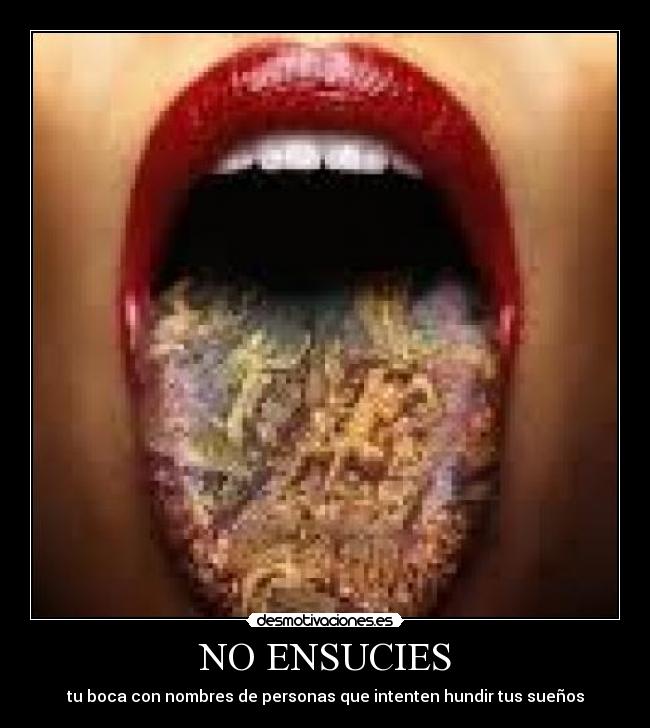 NO ENSUCIES - 