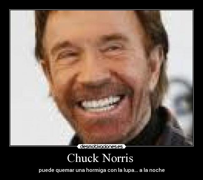 Chuck Norris - puede quemar una hormiga con la lupa... a la noche
