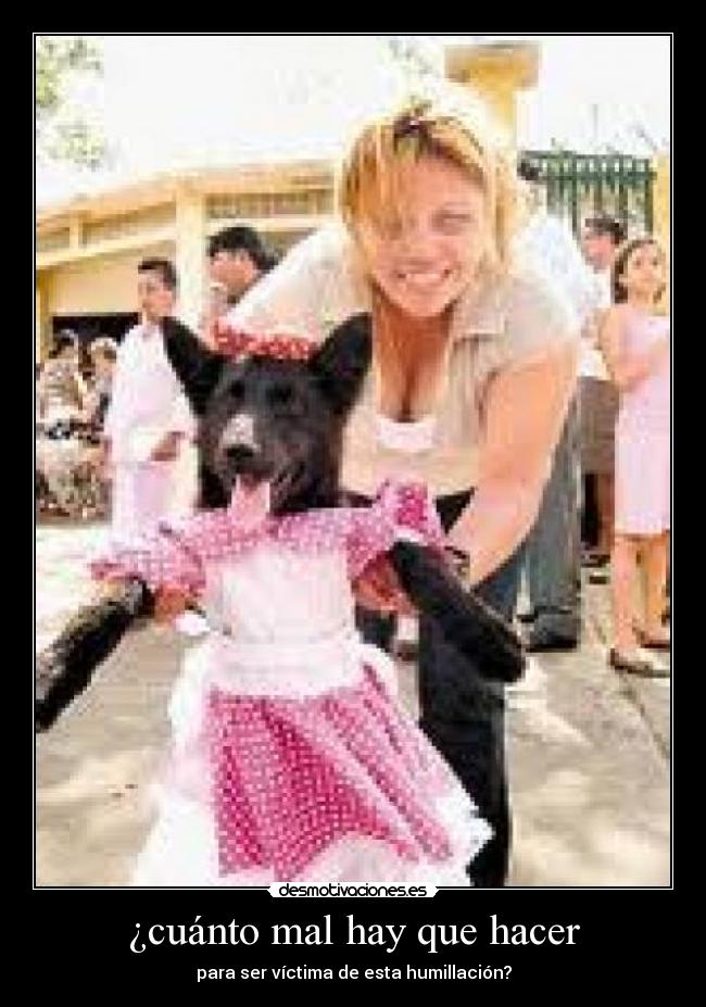 ¿cuánto mal hay que hacer - para ser víctima de esta humillación?