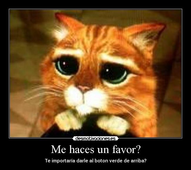 Me haces un favor? -