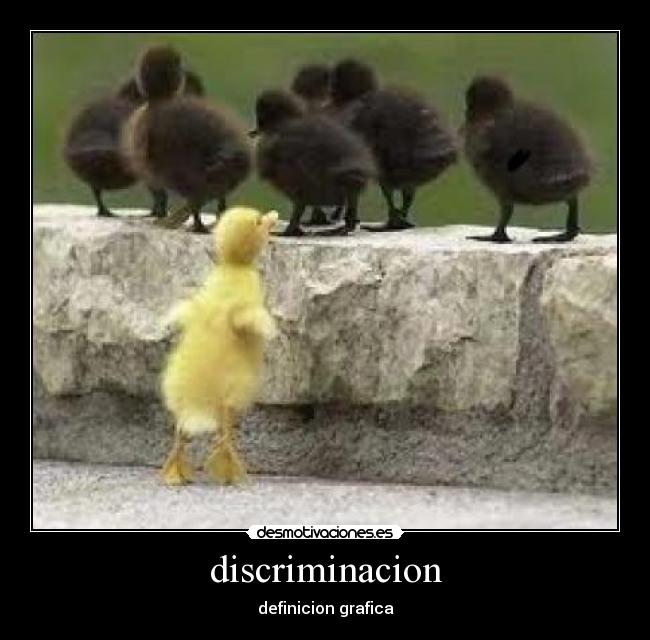 carteles ivy desmotivaciones