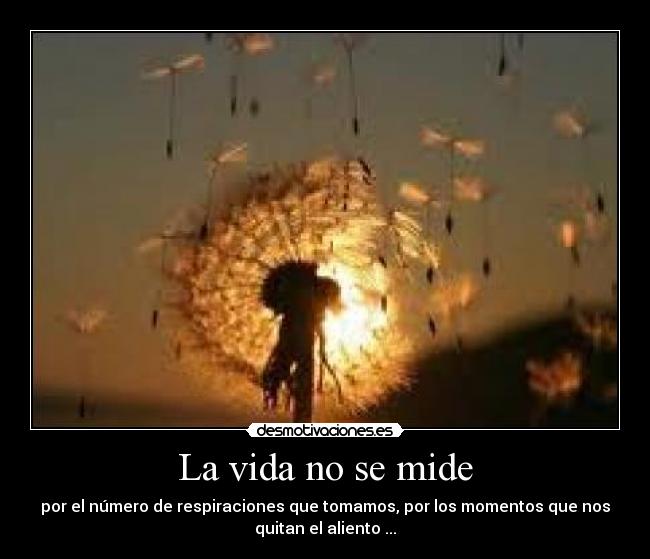 La vida no se mide - por el número de respiraciones que tomamos, por los momentos que nos
quitan el aliento ...