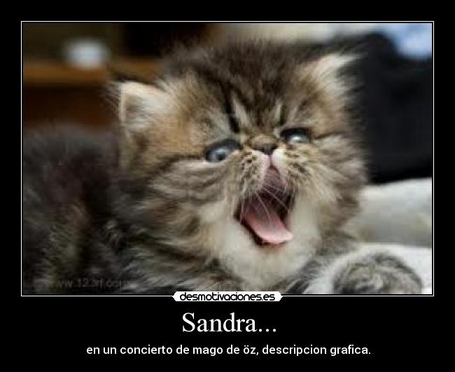 carteles sandralovale desmotivaciones