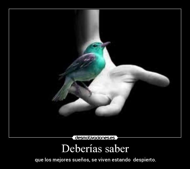 Deberías saber - que los mejores sueños, se viven estando  despierto.