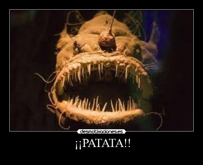 ¡¡PATATA!! -