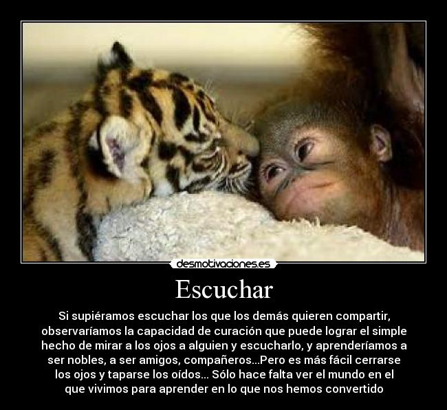 Escuchar - Si supiéramos escuchar los que los demás quieren compartir,
observaríamos la capacidad de curación que puede lograr el simple
hecho de mirar a los ojos a alguien y escucharlo, y aprenderíamos a
ser nobles, a ser amigos, compañeros...Pero es más fácil cerrarse
los ojos y taparse los oídos... Sólo hace falta ver el mundo en el
que vivimos para aprender en lo que nos hemos convertido