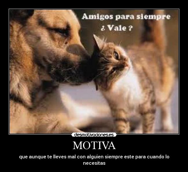 carteles almulove desmotivaciones
