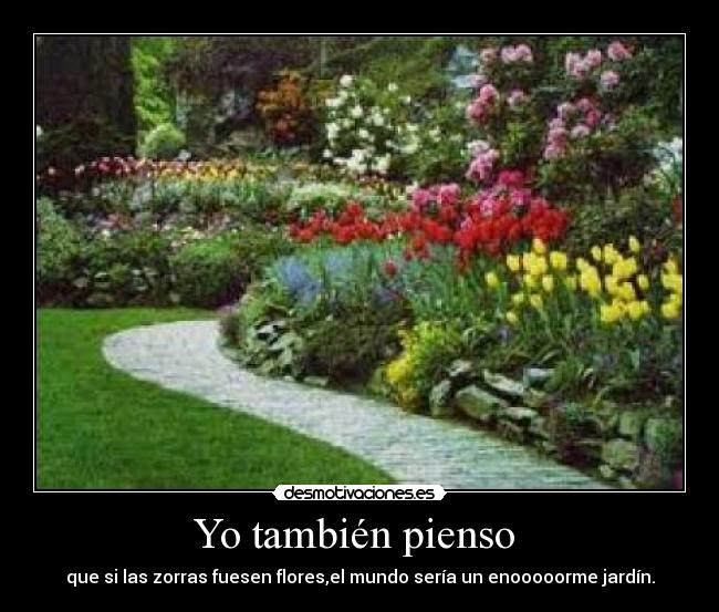 Yo también pienso -