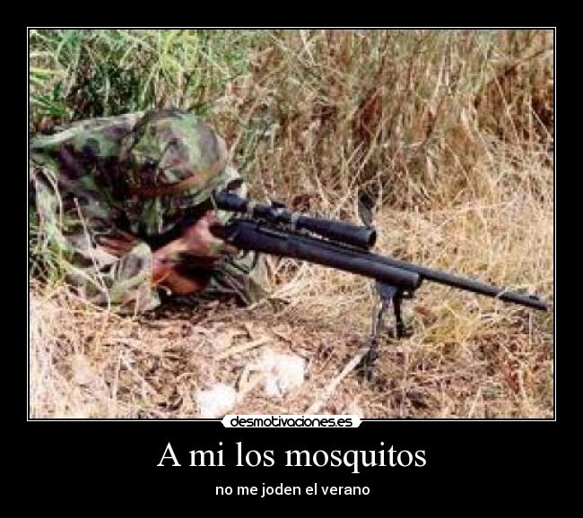 A mi los mosquitos - no me joden el verano