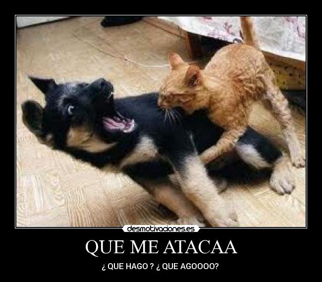 QUE ME ATACAA -