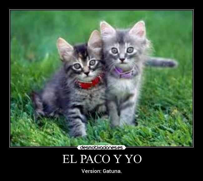 EL PACO Y YO - 