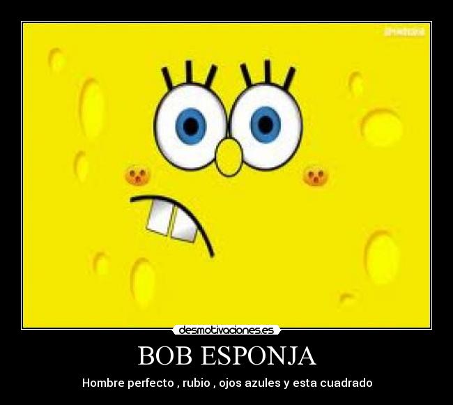 BOB ESPONJA - 