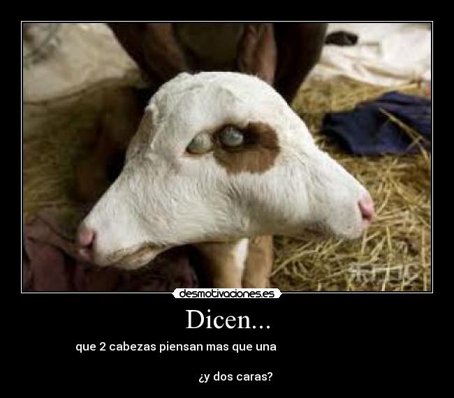 Álbumes 95+ Foto Dos Cabezas Piensan Mejor Que Una El último