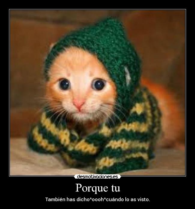 Porque tu - También has dicho^oooh^cuándo lo as visto.