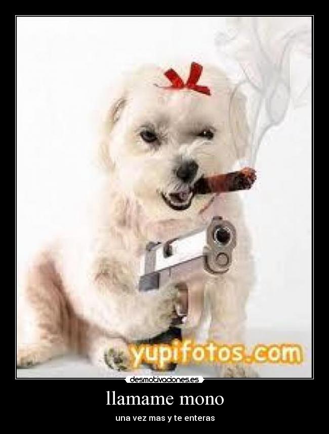 llamame mono - una vez mas y te enteras