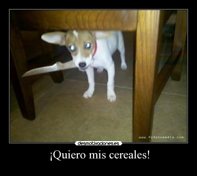 ¡Quiero mis cereales! - 