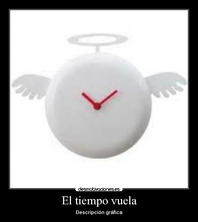 El tiempo vuela - Descripción gráfica