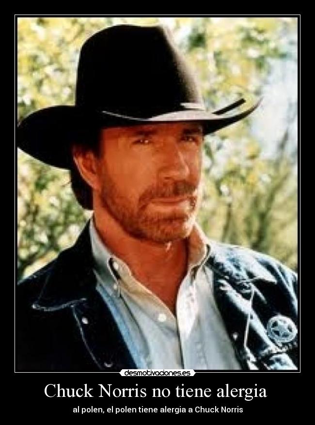 Chuck Norris no tiene alergia -