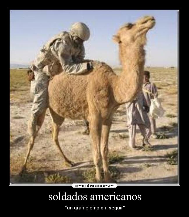 soldados americanos - un gran ejemplo a seguir