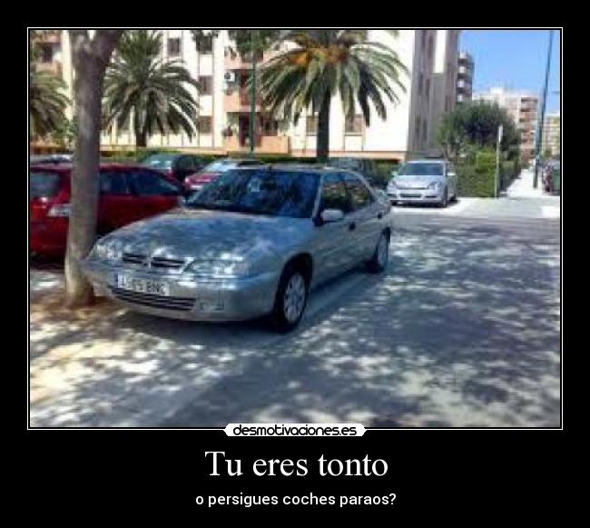 Tu eres tonto - 