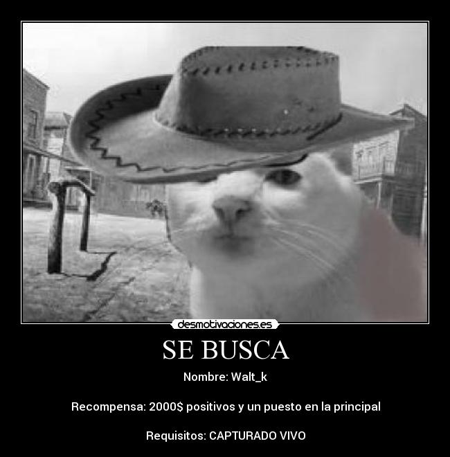 SE BUSCA - Nombre: Walt_k
Recompensa: 2000$ positivos y un puesto en la principal
Requisitos: CAPTURADO VIVO