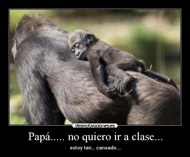 Papá..... no quiero ir a clase... - estoy tan... cansado....