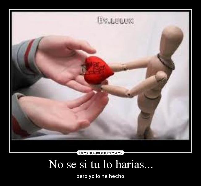 No se si tu lo harias... -