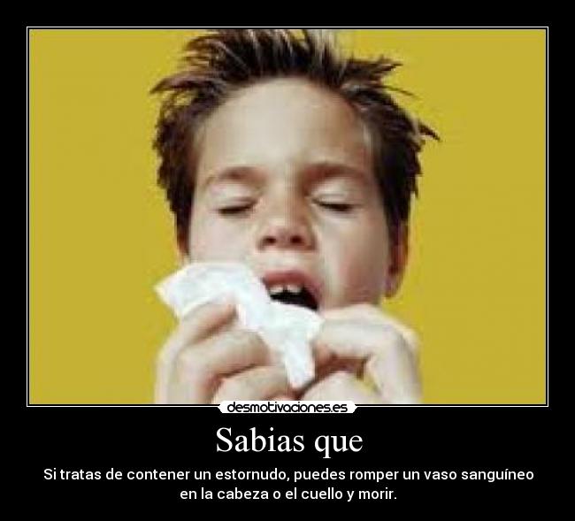 Sabias que - Si tratas de contener un estornudo, puedes romper un vaso sanguíneo
en la cabeza o el cuello y morir.